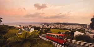 Wellington